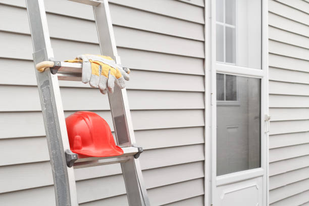Best Property Management Cleanouts  in San Luis, AZ