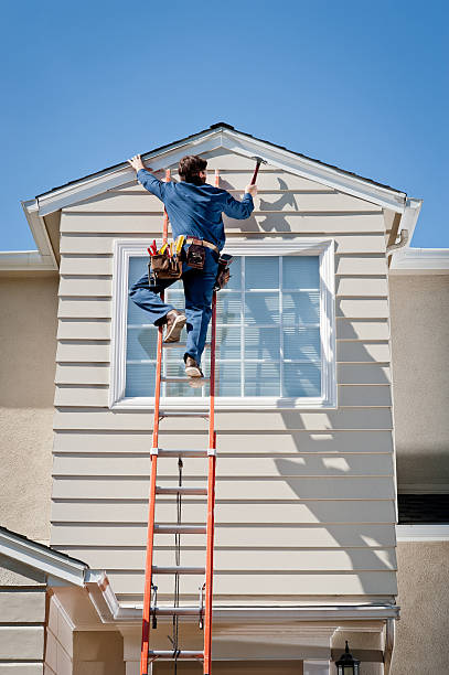 Best Yard Waste Removal  in San Luis, AZ